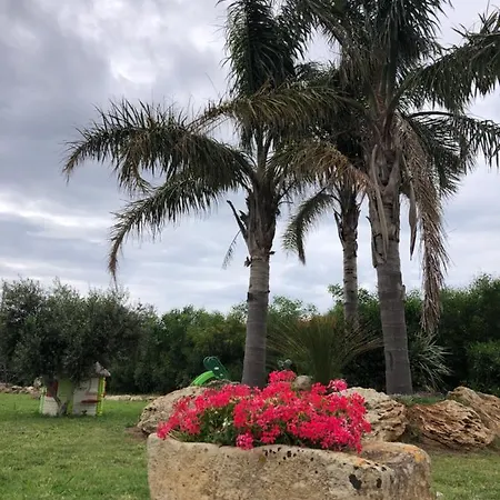 Le Maioliche Allo Stagnone Kite * מרסאלה