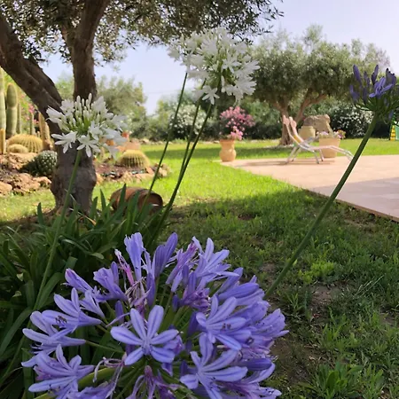 Holiday home Le Maioliche Allo Stagnone